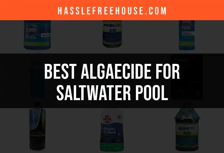 14 Best Algaecides for Saltwater Pools to Keep It Sparkling