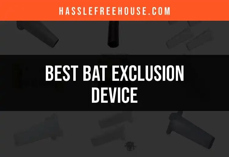 Top 12 Bat Exclusion Devices for a Pest-Free Home