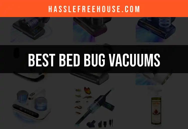 16 Best Bed Bug Vacuums for A Sweet Sleep