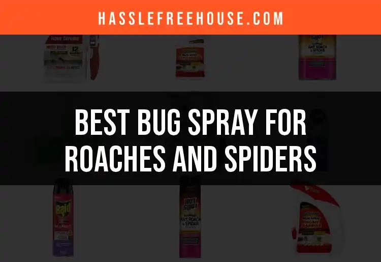 18 Best Bug Sprays for Roaches and Spiders Revealed