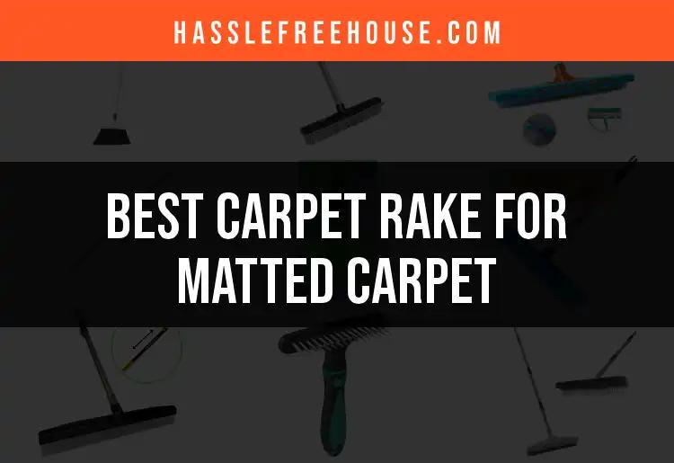 15 Best Carpet Rakes for Matted Carpet Refreshing