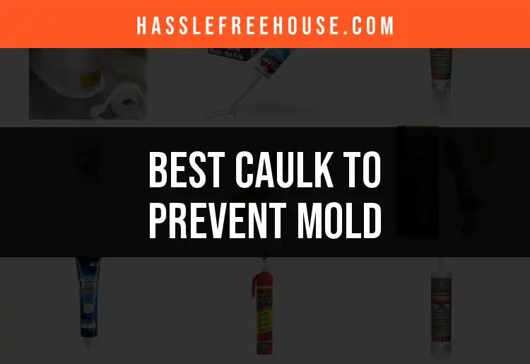 15 Best Caulks to Prevent Mold and Keep Your Home Fresh