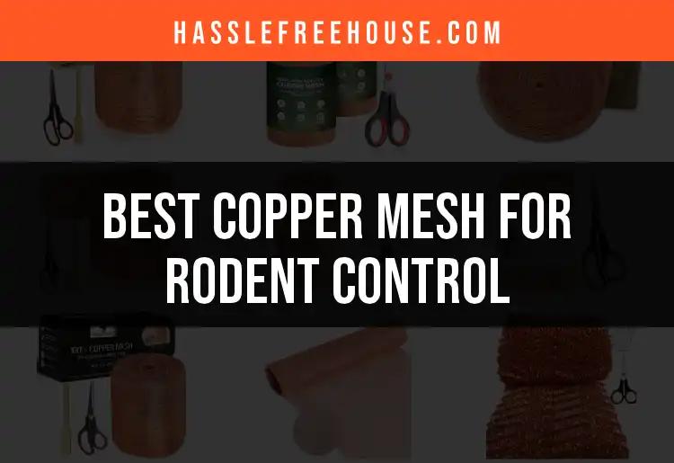 Top 10 Copper Mesh Options for Effective Rodent Control