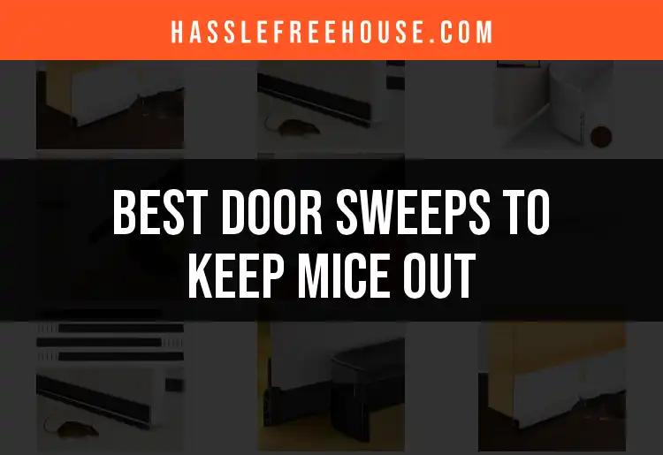 17 Best Door Sweeps to Keep Mice Out