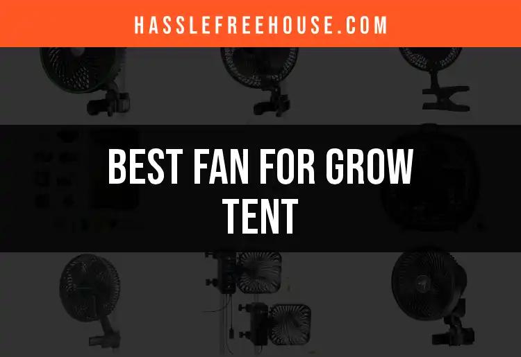 13 Best Fans for Your Grow Tent to Enhance Airflow