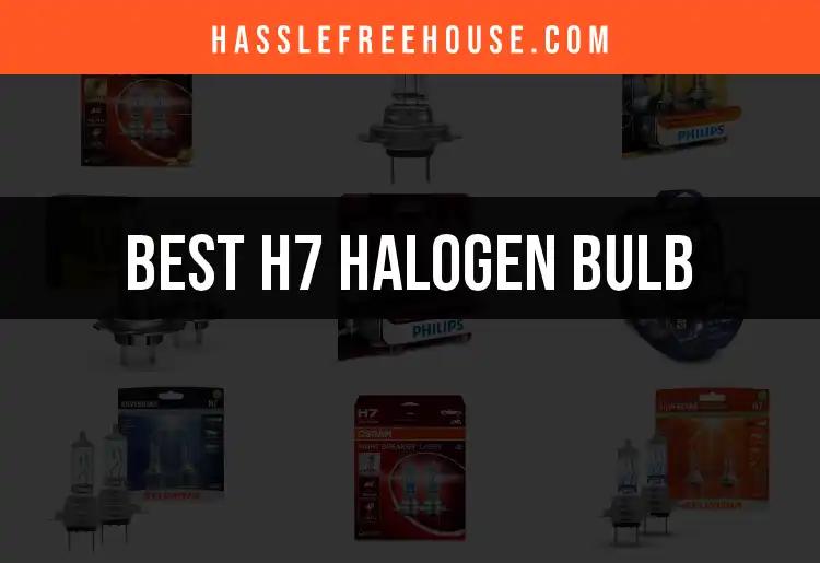 13 Best H7 Halogen Bulbs for Brightening Your Ride
