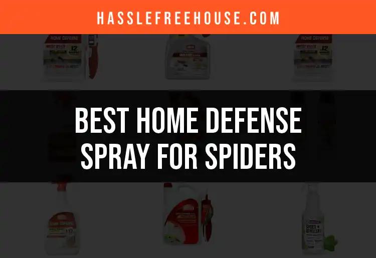 15 Must-Have Home Defense Sprays for Spider Control