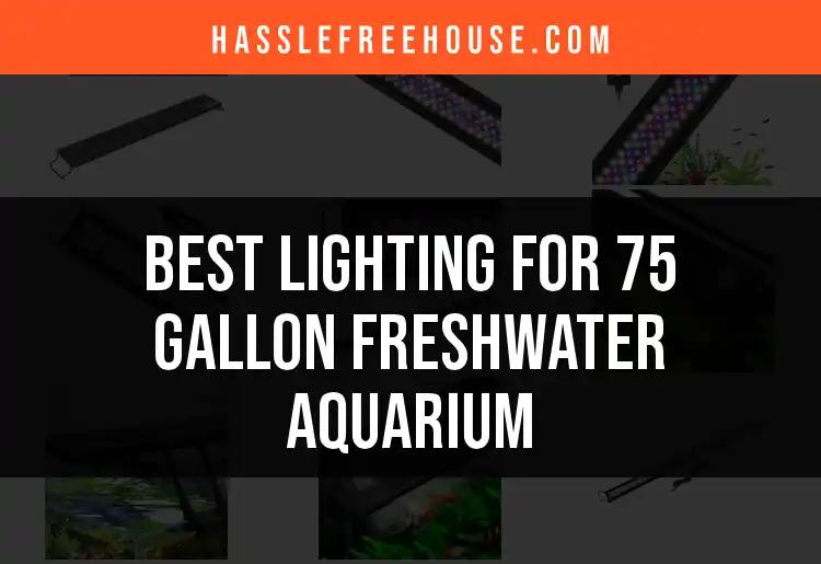11 Best Lighting Options for 75 Gallon Freshwater Aquarium