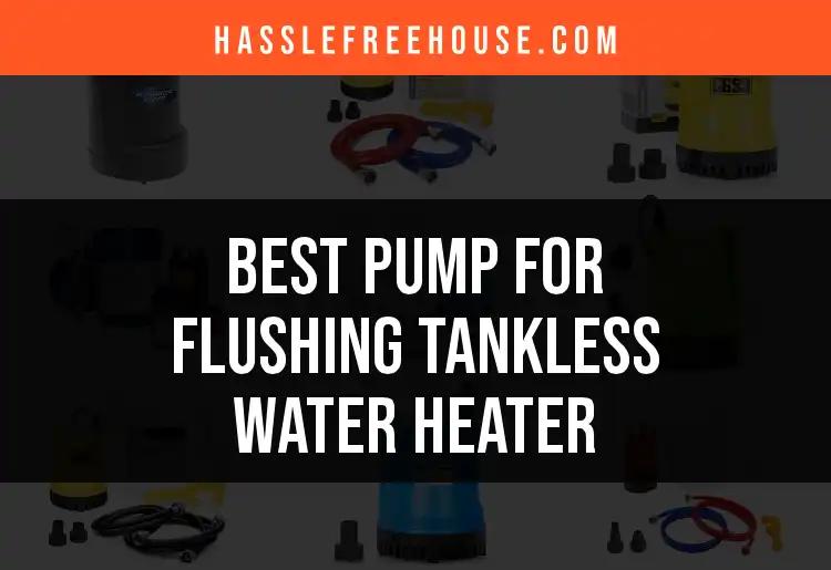 16 Best Pumps for Flushing Tankless Water Heaters