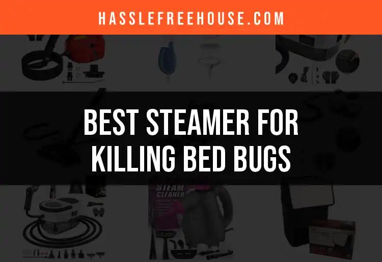 16 Best Steamers for Killing Bed Bugs