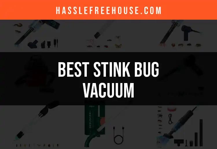 16 Stink Bug Vacuums That Make Pest Control Effortless