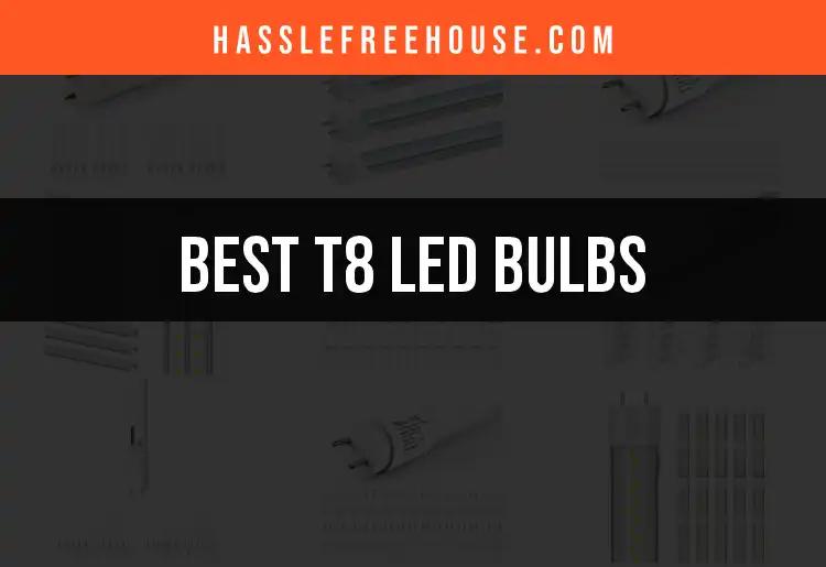 12 T8 LED Bulbs That Brighten Your Home Efficiently
