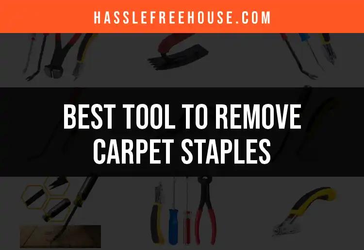16 Best Tools to Remove Carpet Staples Effortlessly