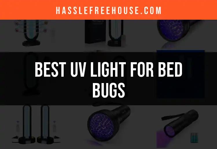 18 Best UV Lights for Bed Bugs: Top Picks for Effective Control
