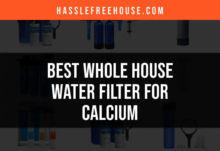 The 12 Best Whole House Water Filters for Calcium