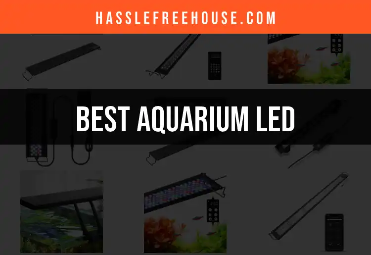 15 Best Aquarium LED Lights for Vibrant Underwater Scenes