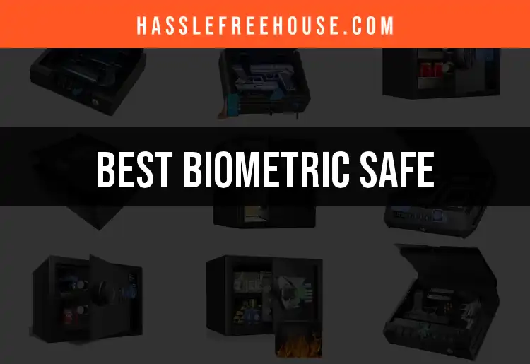 15 Best Biometric Safes to Secure Your Valuables