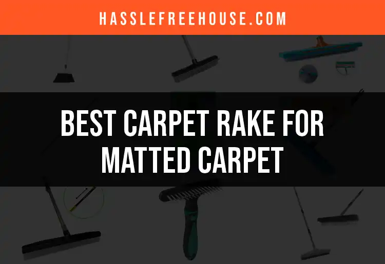 15 Best Carpet Rakes for Matted Carpet Refreshing