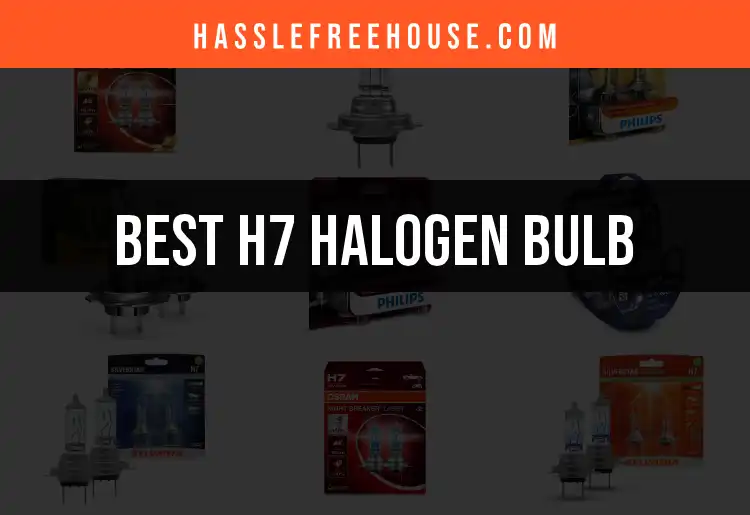 13 Best H7 Halogen Bulbs for Brightening Your Ride