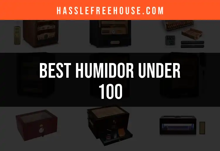 The Top 12 Humidors Under 100 You Must Consider
