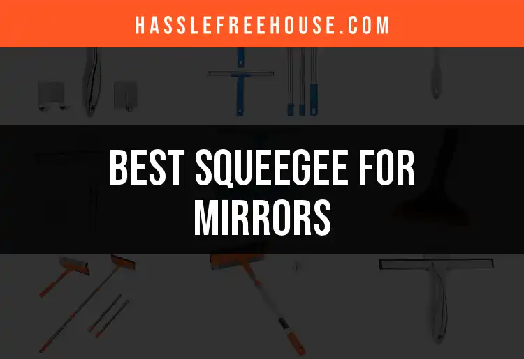 17 Best Squeegees for Mirrors to Elevate Your Shine featured